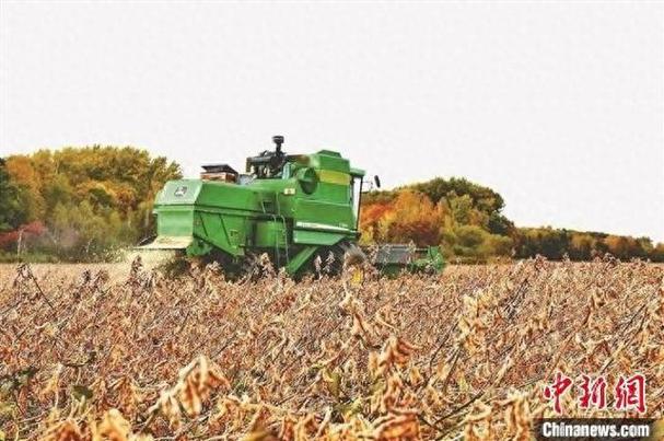 2023年,黑龙江省粮食作物播种面积2.19亿亩,其中大豆播种面积7397.